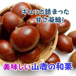 ほっこり甘い！『冷凍むき栗』(250g×4パック)1kg | 果物/栗 産直 