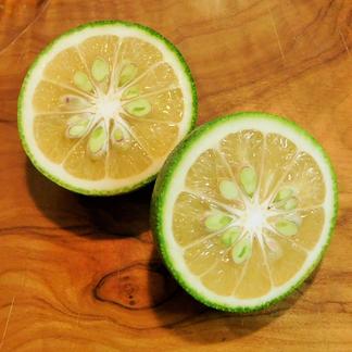 自然栽培 まろやかな酸味 農薬 肥料を使わずに育てた大分県特産の かぼす 3kg ｂ品も含む無選別品 果物 柑橘類 産直アウル Owl 農家から直接野菜などの食材を購入できる産地直送の宅配通販サイト