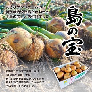 【大玉サイズ】淡路島産新たまねぎ 【20kg】 早生七宝 兵庫県認証食品 大玉 20kg 野菜/玉ねぎ通販