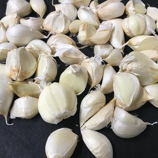 わけあり品 青森県産ホワイト六片種にんにく バラ1kg( 500g×2) | 野菜 