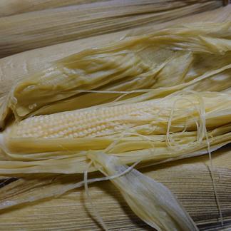 5kgもぎたて早だしヤングコーン ベビーコーン ミドルコーン 5kg ４０ ６０本程度 野菜 とうもろこし 産直アウル 農家から直接野菜などの食材を購入できる産地直送の宅配通販サイト