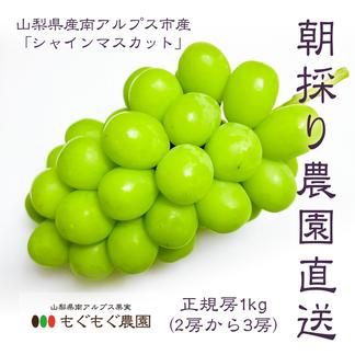 山梨県産】シャインマスカット(種無し)1kg（2房から3房）【予約販売 