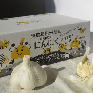 無農薬・無化学肥料栽培「にんにく」800g | 野菜/にんにく 産直アウル 