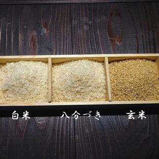 天日干し 自然栽培 米 30kg 玄米 農薬不使用 熊本 5kg 10kg 20 無農薬