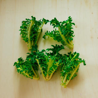 プチヴェール ホワイト 300g 野菜 キャベツ 産直アウル Owl 農家から直接野菜などの食材を購入できる産地直送の宅配通販サイト