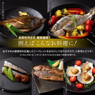 【訳あり】漁師応援、冷凍鮮魚セット（4～4.5kg/4～5魚種） 4～4.5kg　4～5魚種（内容はおまかせになります） 食品販売事業者/お取り寄せ通販