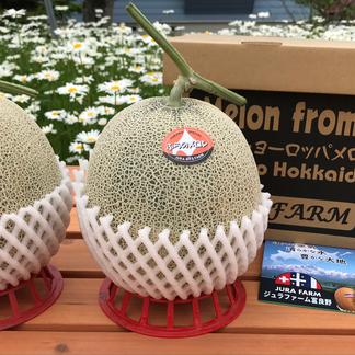お中元 夏ギフトに 人気の富良野メロン 果物 メロン Owl アウル 農家から直接野菜などの食材を購入できる産地直送の宅配通販サイト
