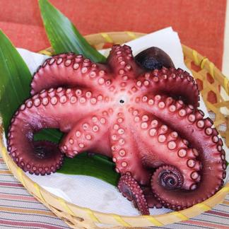 瀬戸内海産でやわらかい ゆでタコ 魚介類 タコ 産直アウル Owl 農家から直接野菜などの食材を購入できる産地直送の宅配通販サイト
