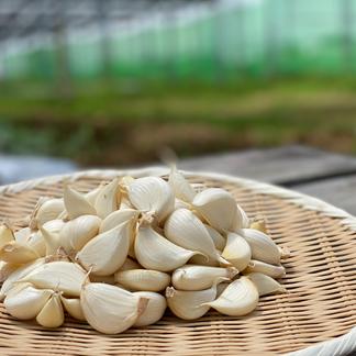 数量限定特別価格 クール便 ほくほく 野菜 にんにく Owl アウル 農家から直接野菜などの食材を購入できる産地直送の宅配通販サイト