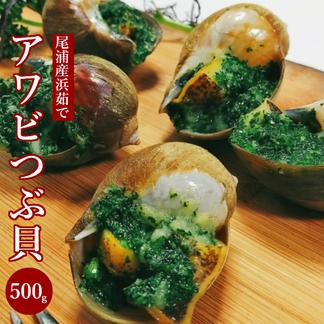 お届け地域 東北 関東甲信越のみ 天然アワビつぶ貝 ボイル済み 冷凍 500g 魚介類 その他魚介の加工品 産直アウル Owl 農家から直接野菜などの食材を購入できる産地直送の宅配通販サイト