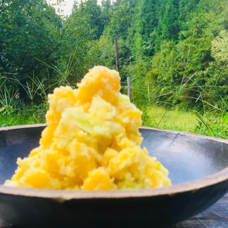 5kg 農家の中でも 幻 のじゃがいも 世界一美味しい黄金じゃがいも 限定販売 毎年即完売 うまい野菜 自然栽培 農薬不使用 無農薬 無肥料 野菜 じゃがいも 産直アウル Owl 農家から直接野菜などの食材を購入できる産地直送の宅配通販サイト