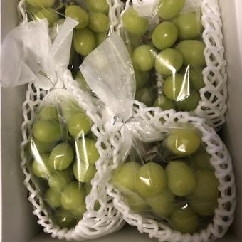 Qpさんが ぶどうやんショップ の シャインマスカット家庭用1 5 1 8キロ前後 9月23日以降に発送 についてのごちレポ ついつい食べ過ぎてしまう を投稿しました 産直アウル Owl