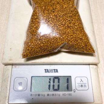 令和6年度産  国産　新金ゴマ　生ゴマ 100g 野菜/ゴマ通販