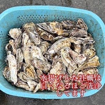 【加熱用】冷凍殻付き牡蠣 4kg 宮城県産(Lサイズ) 4kg 魚介類/牡蠣通販