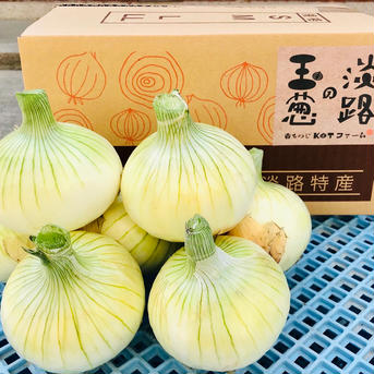 淡路島産　新玉ねぎ　七宝５ｋｇ ５ｋｇ 野菜/玉ねぎ通販