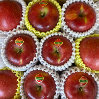 甘くて美味しいシナノスイート | 果物/りんご 産直アウル 農家から直接