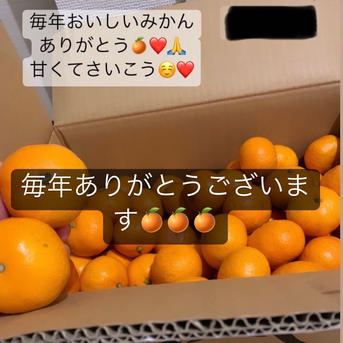 最高級】真穴（まあな）産地直送 極上みかん S〜Lサイズ 10キロ 贈答