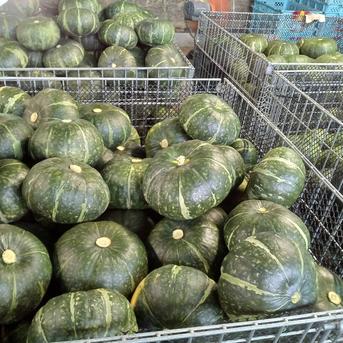 完熟しすぎかぼちゃ🎃（5キロ）激安価格‼️熟れすぎて柔らかくなっ