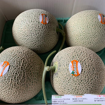 限定】着いてすぐ食べれるご自宅用超大玉富良野メロン4〜6玉入 合計8
