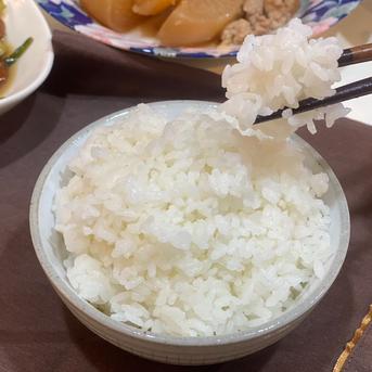 虹のきらめき玄米10kg】【2025年米】新米🌾大粒の食べ応えと甘みが自慢