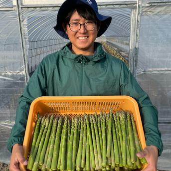 【数量限定】2025年北海道産！丁度よくて使いやすい！青空ファーム池田の青空アスパラ(L-2Lサイズ/1kg) グリーンアスパラ1kg(L〜2L) 野菜/アスパラガス通販