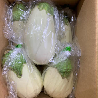 感動✨美白茄子　事前予約商品になります。 5本入り　 野菜/茄子通販