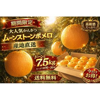 ムーンストーン ポメロ（えひめ県産)段ボール含め 7.5kg【訳あり
