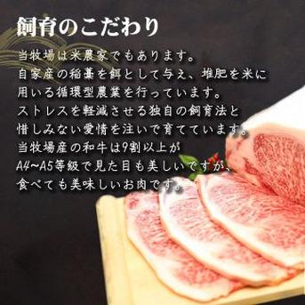 【一度で何度も美味しい絶大なる人気】数種類の部位が入った赤字覚悟のお得セットあか村黒毛和牛ブランド切り落とし食べ比べセット約300g【アウルの日】 黒毛和牛切り落とし約300g 肉/牛肉通販
