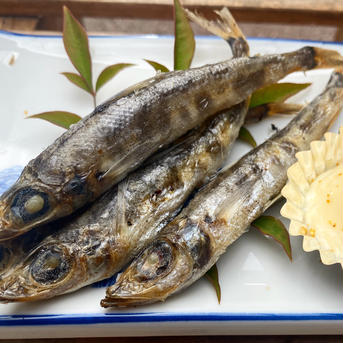 とろ～り！珊瑚色をしたトロえび（中小1）×一度食べると虜になるメヒカリ（中1） トロえび中小1パック1kg（80-100尾前後）/メヒカリ中1パック1kg（40-60尾前後） 魚介類/魚介セット・詰め合わせ通販