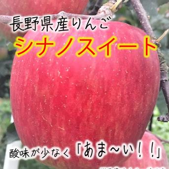 シナノスイート ご家庭用 3kg【正〇様限定商品】 ｜ 果物/りんご 産直