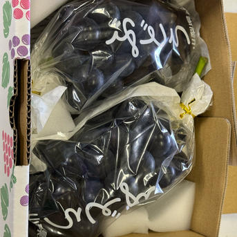 クール便】ぶどう【ブラックビート】1kg〜1.2kg前後(2〜3房)山梨県産