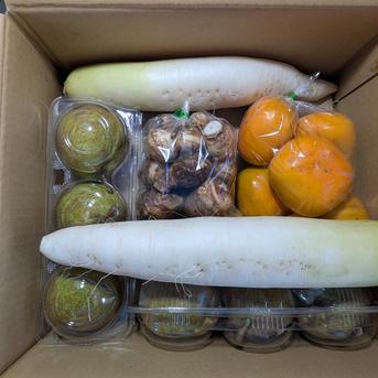 カキ、洋ナシ、ダイコン、サトイモ | 野菜/野菜セット・詰め合わせ