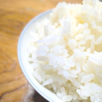 令和7年 新米】京都府産 お米 コシヒカリ 【精米済 10kg】 | 米・穀物