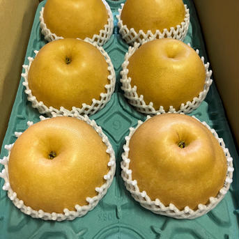 新高梨　3k箱　5〜6玉 約3キロ 果物/梨通販