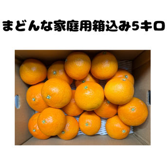 まどんな4.5キロ＋みかん4.5キロセット | 果物/オレンジ・その他みかん