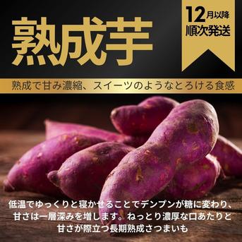 熟成芋】紅はるか お得な10kg（土付き） ｜ 野菜/さつまいも 産直