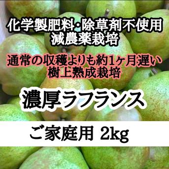 【期間限定ゲリラSALE】減農薬栽培　こだわりの長期熟成栽培☆とろぉ〜り濃厚ラフランス ご家庭用2k ラフランス 果物/梨通販