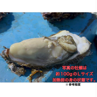 【加熱用】Mサイズ冷凍殻付き牡蠣10kg宮城県産 10kg 魚介類/牡蠣通販