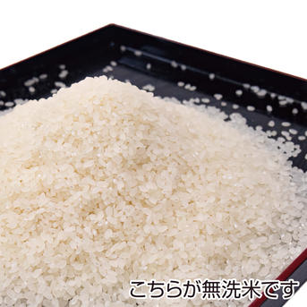 秋田県産あきたこまち【 白希 】~ HAKI ~ 10kg ｜ 米・穀物/米