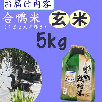 令和5年度★玄米★米作り名人【完ちゃん】の農薬・化学肥料不使用栽培くまさんの輝き5kg くまさんの輝き（玄米）5kg 米・穀物/玄米通販