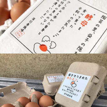 【松原様】「酵母・平飼い6個×10パック」と「赤たまご6個×6パック」 「酵母・平飼い6個×10パック」と「赤たまご6個×6パック」 卵/卵セット・詰め合わせ通販