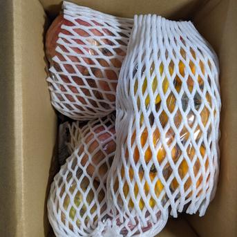 加工原料の柿とリンゴ 約4kg 果物/果物セット・詰め合わせ通販