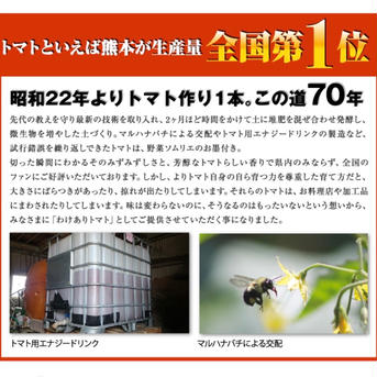 ⑤食べ比べ　ソムリエミニトマト　プラチナ800gとダイヤ800gのセット（90玉から120玉） 1.6kg 野菜/トマト通販