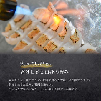 漁師直送！アカハタ　２kg ２㎏　4匹～8匹 魚介類/アカハタ通販