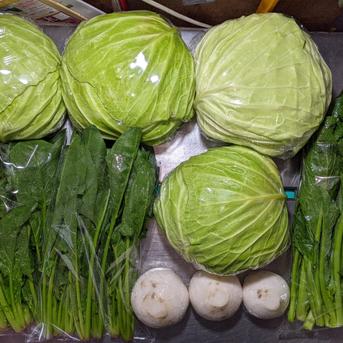 キャベツ、カブ、ホウレンソウ、茎立ち 約5.1kg 野菜/野菜セット・詰め合わせ通販