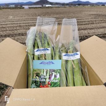 ★西谷様専用【収穫してすぐ発送】新鮮アスパラガス　2kg 【栽培期間中農薬化学肥料不使用】 2kg 野菜/アスパラガス通販