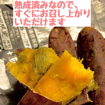 DIファーム 【2種類味くらべセット！】さつまいも　紅はるか ＆シルクスイート　サイズミックス 4kg 土つき 4kg 野菜/さつまいも通販