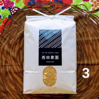 一等米【無農薬】【コシヒカリ3分づき精米20kg】令和6年産・天然の資材、有機質肥料のみ・動物性堆肥不使用・100％農薬不使用　土づくりから1年間🌱農薬・化学肥料・除草剤など使わずに育てた特別栽培米 【無農薬】コシ【3分】20kg 米・穀物/米/精米通販