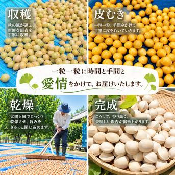 届いてすぐに食べられる！ 祖父江産 久寿L 銀杏＆割り器セット ｜ 野菜