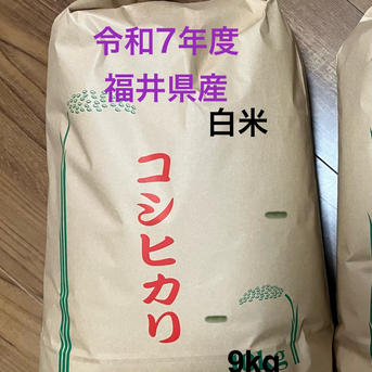 コシヒカリ　令和7年度福井県産　白米 令和7年度 福井県産コシヒカリ 白米 ｜ 米・穀物/米/精米 産直アウル